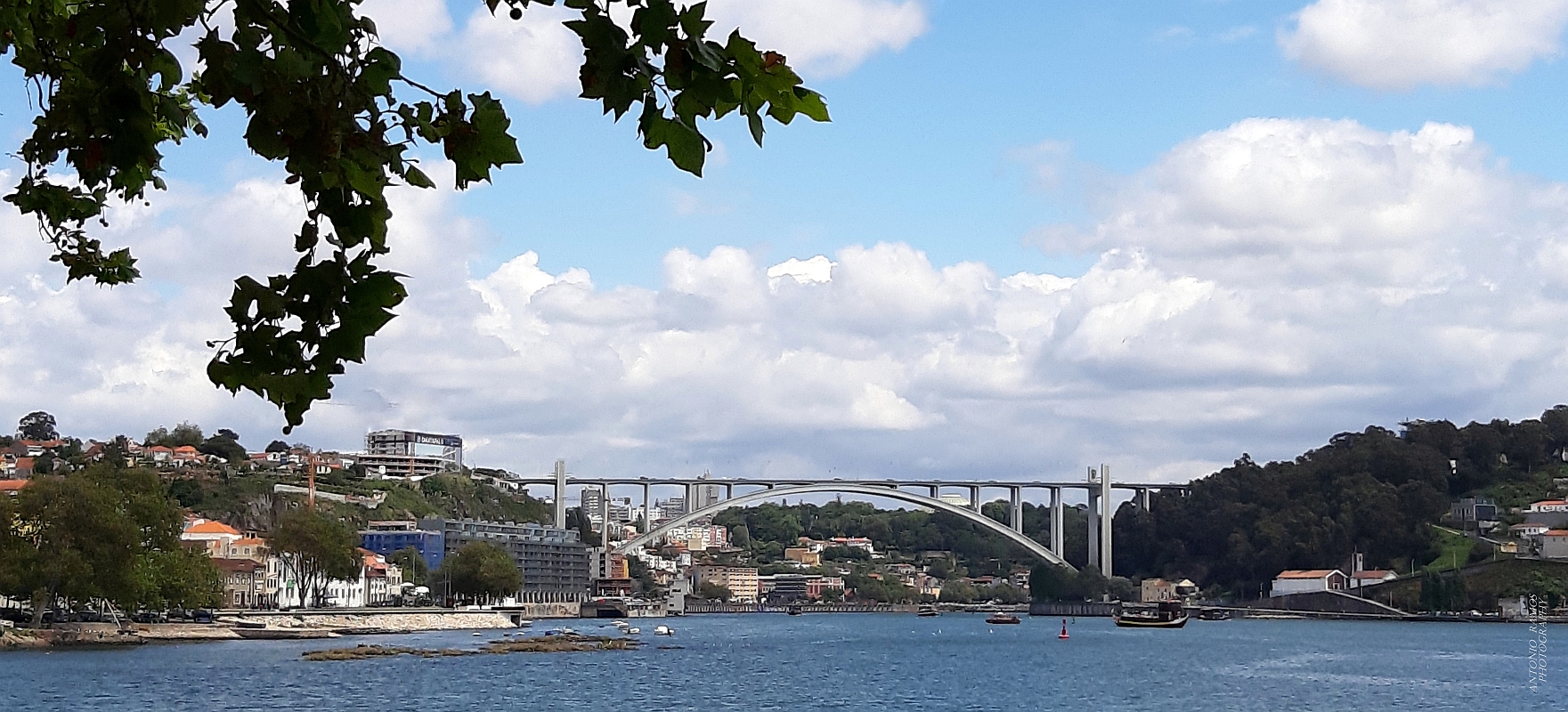 Arrábida Bridge