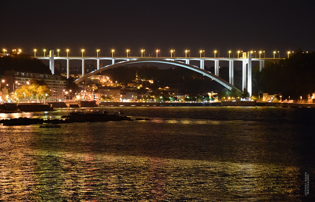 Arrábida Bridge - II