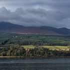 Arran