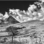 Arran Landscape