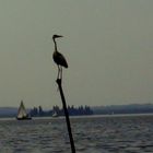 Arrangement mit zwei Schiffen, Stock und Fischreiher