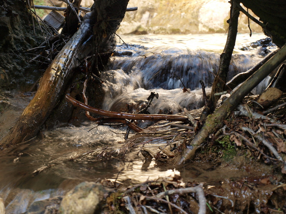 arrastre fluvial