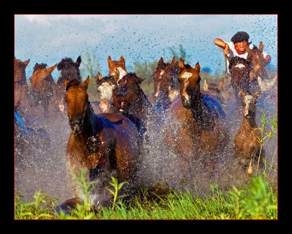 Arriando en el agua