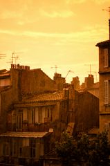 Arrière-cour après la pluie