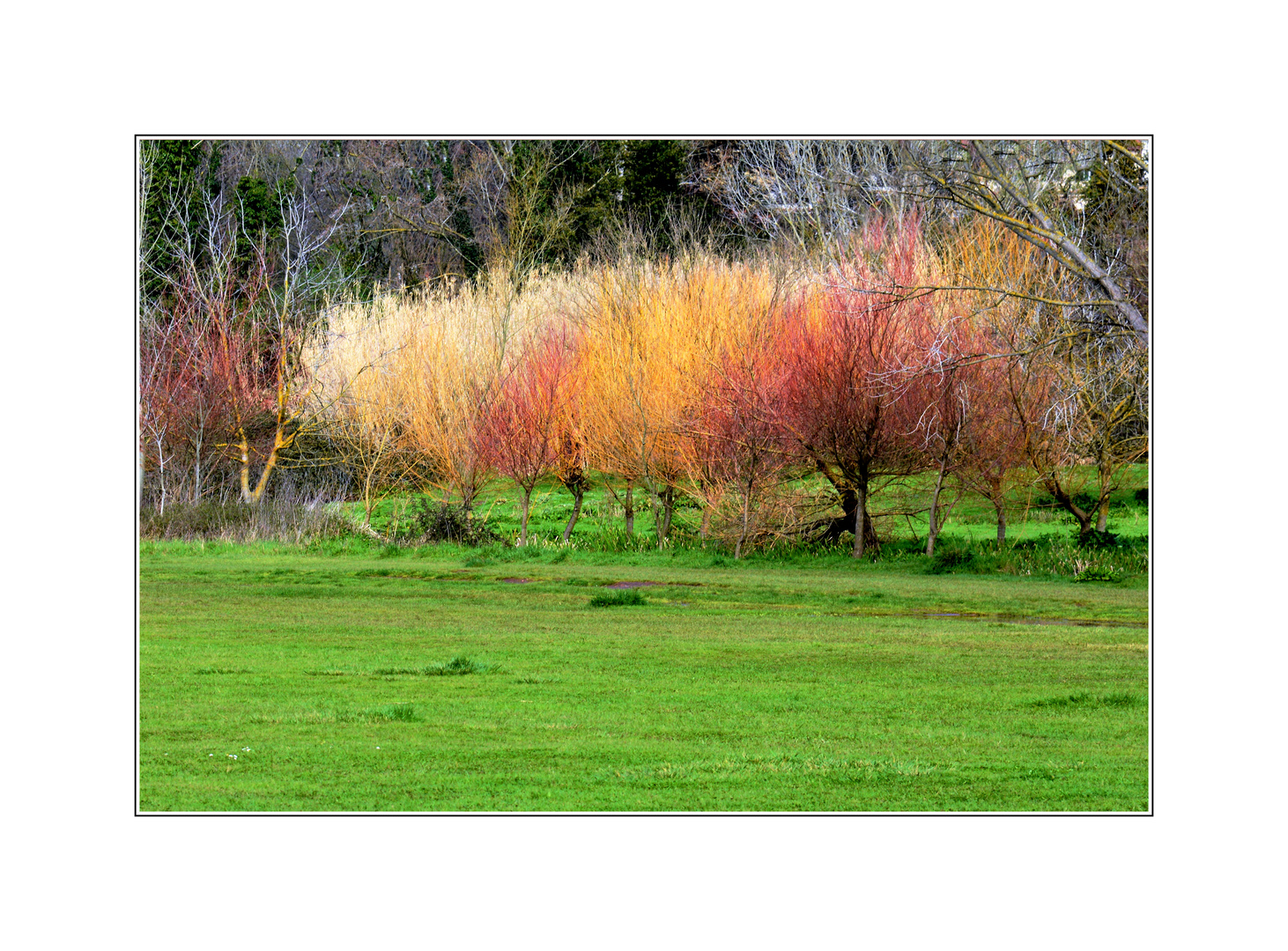 Arriva la primavera!