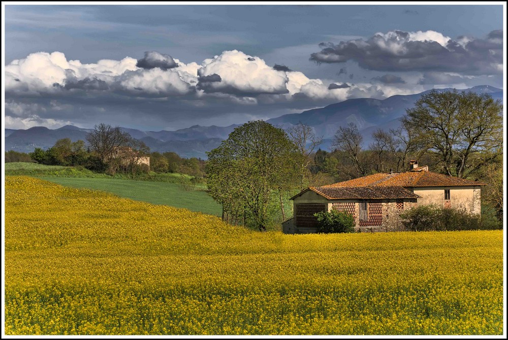 Arriva la Primavera.....................