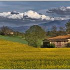 Arriva la Primavera.....................