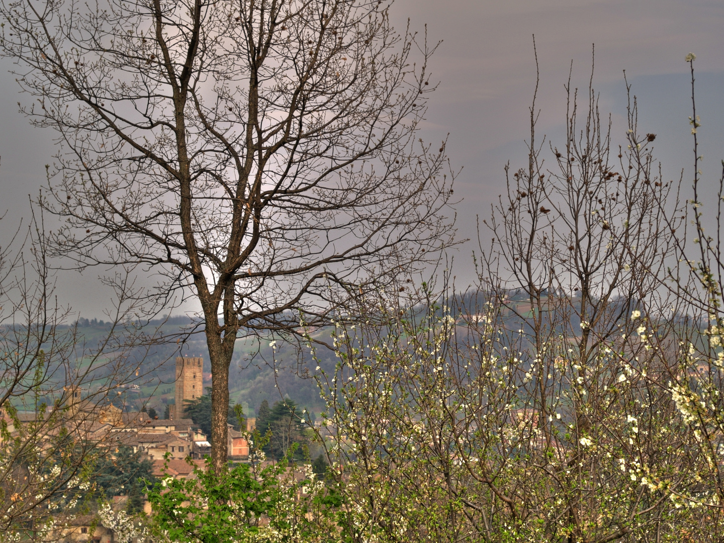 Arriva la primavera