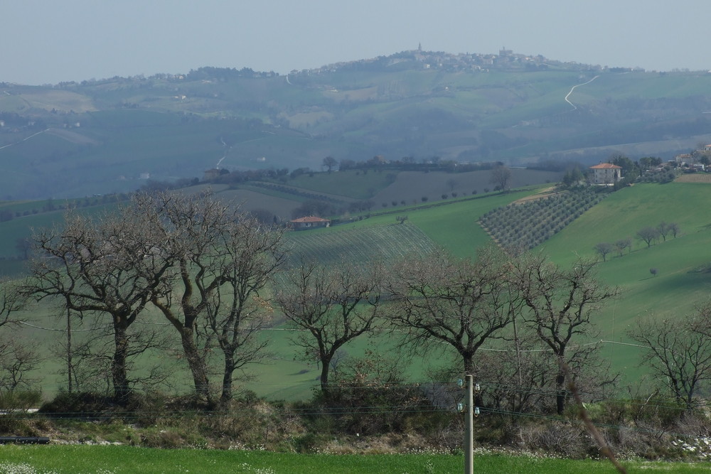 arriva la primavera