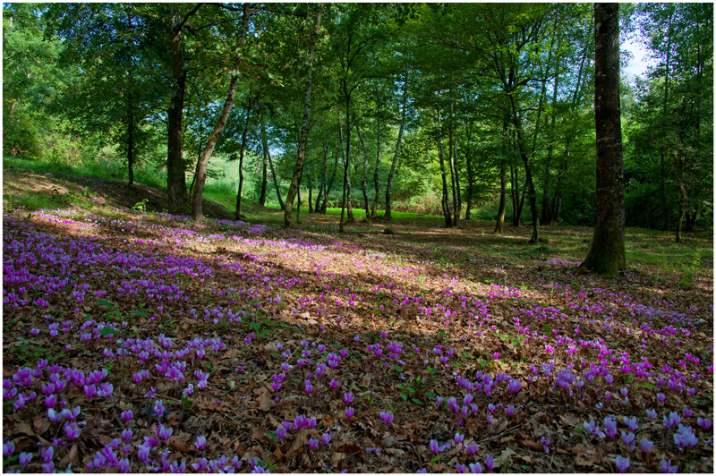 Arriva l'autunno