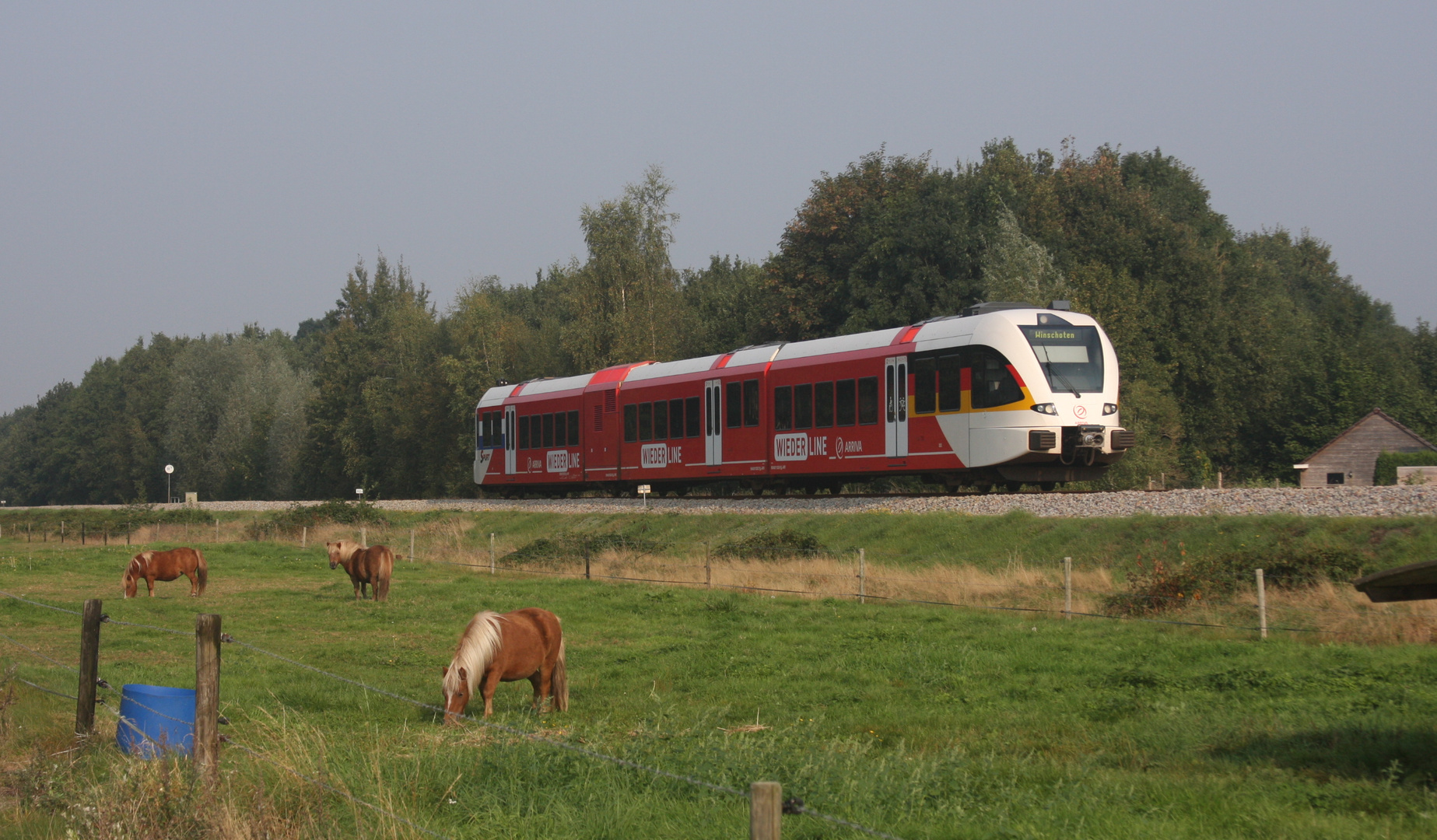 Arriva Spurt Wiederline zwischen Napels-oost und Napels-west in Winschoten 16-09-2014