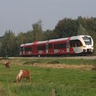 Arriva Spurt Wiederline zwischen Napels-oost und Napels-west in Winschoten 16-09-2014