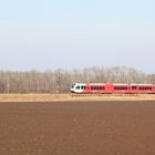 Arriva triebwagen zwischen Winschoten und Bad Nieuweschans 06-02-2015