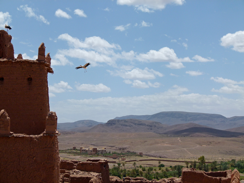 arrival at kasbah