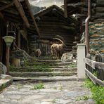 arrivano gli ospiti