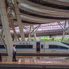 Arrive in Beijing by Fu Xing bullet train