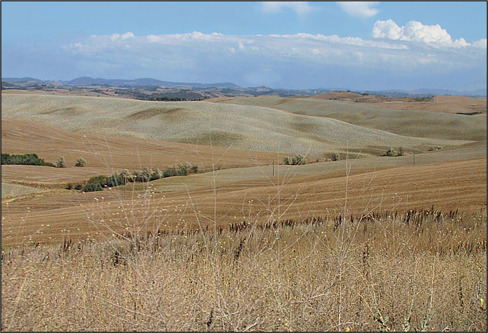 Arrivederci Toscana