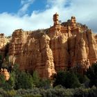 arrivée à Zion National park