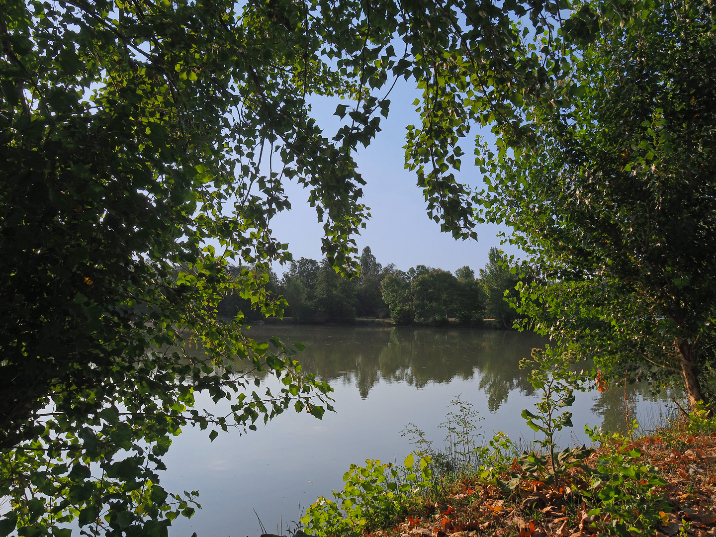 Arrivée de l’automne au bord du lac