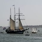 Arrivée d'Oosterschelde, trois-mâts goélette néerlandaise