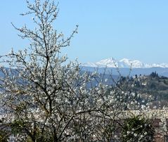 Arrivée du printemps