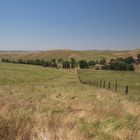 arriving at the farm , CA