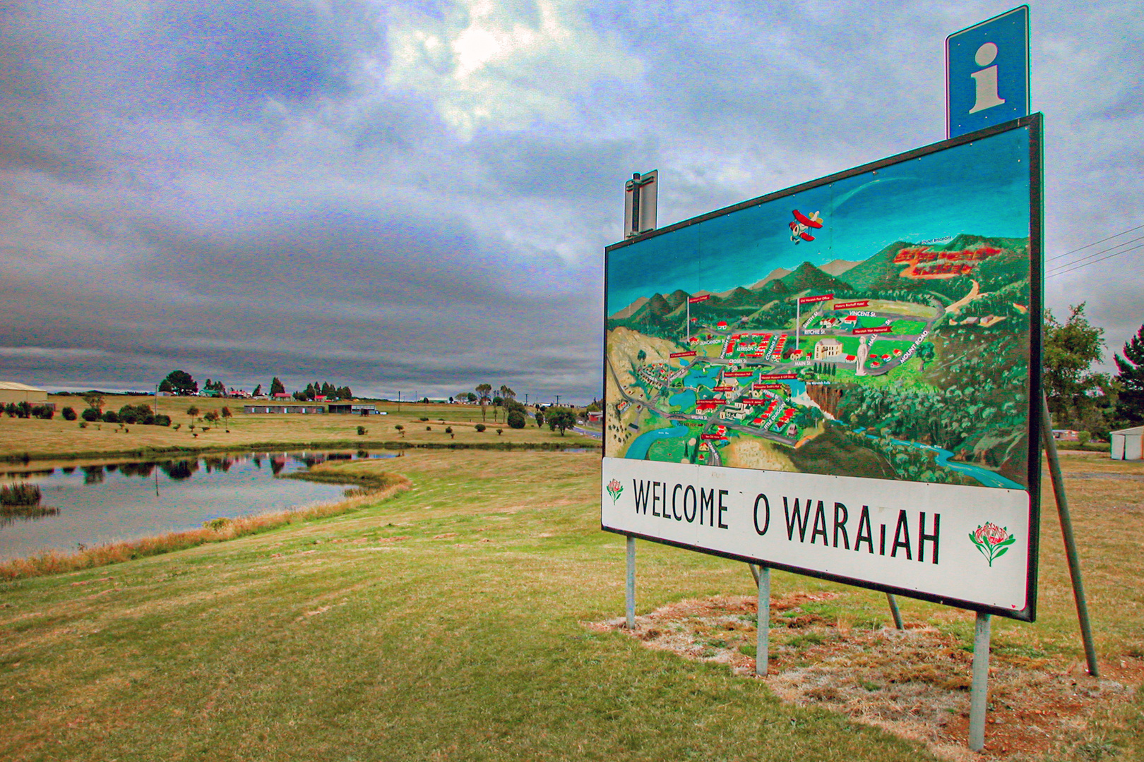 Arriving Waratah