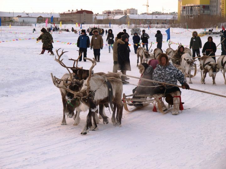 Arrivo dei Nenets a Noviy Urengoy