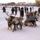 Arrivo dei Nenets a Noviy Urengoy