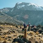 Arrow Glacier & Great Barranco