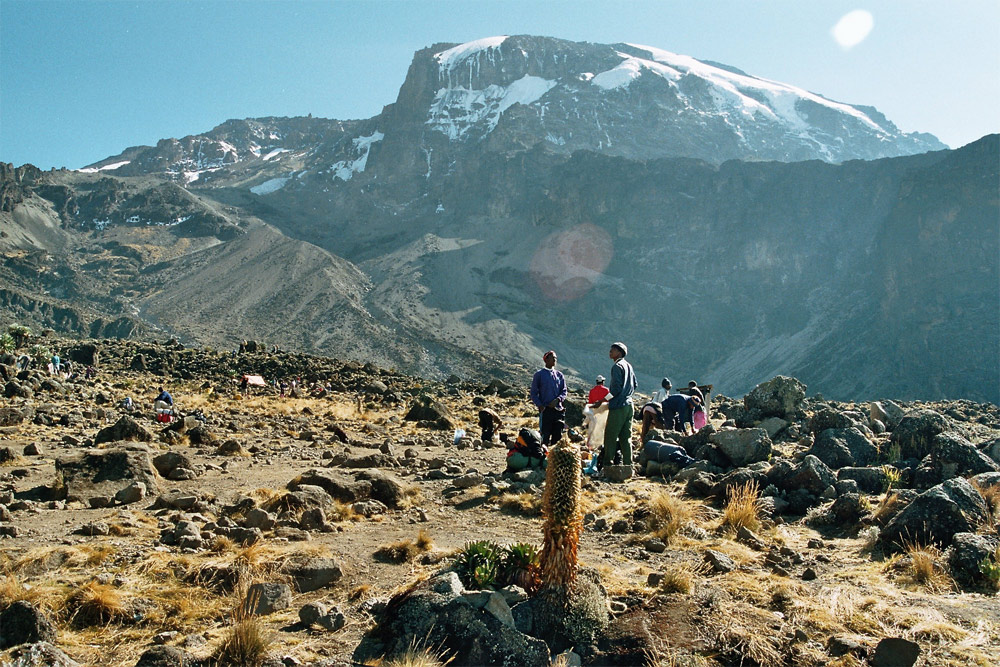 Arrow Glacier & Great Barranco