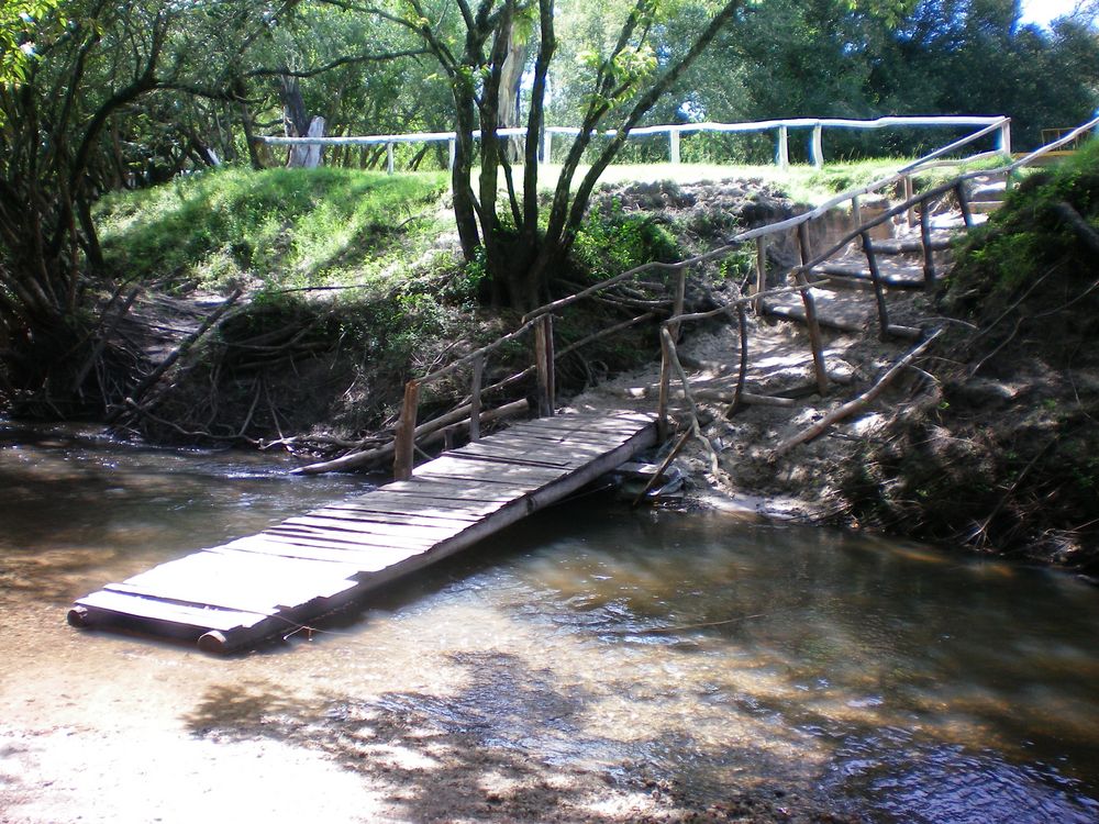 arroyo de flopy73 