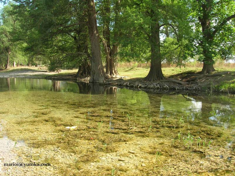 Arroyo Alamos