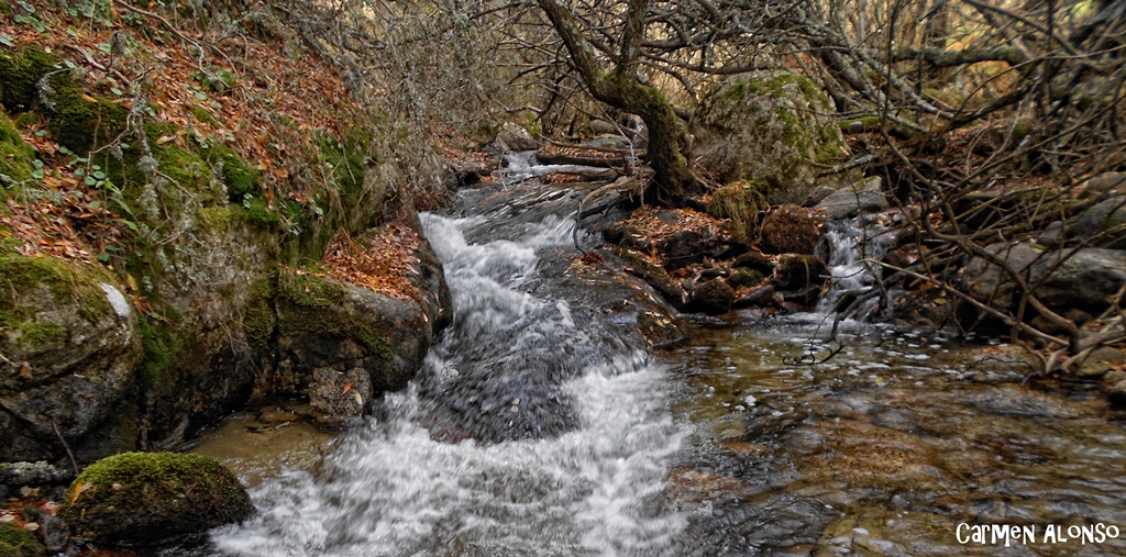 Arroyo de La Hoya