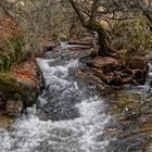 Arroyo de La Hoya