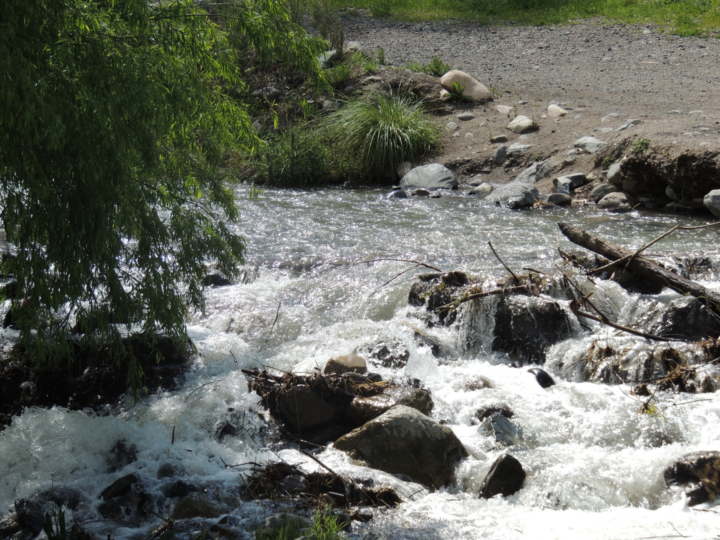 Arroyo de montaña