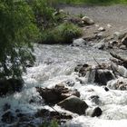 Arroyo de montaña