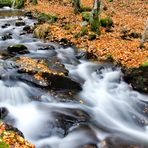 Arroyo de otoño