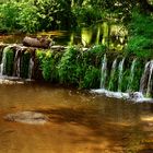 ARROYO DEL BARRANCO