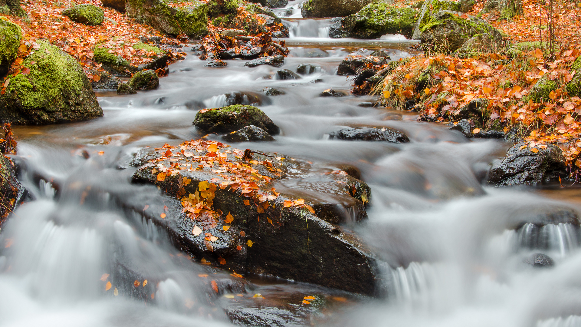 Arroyo del Sestil