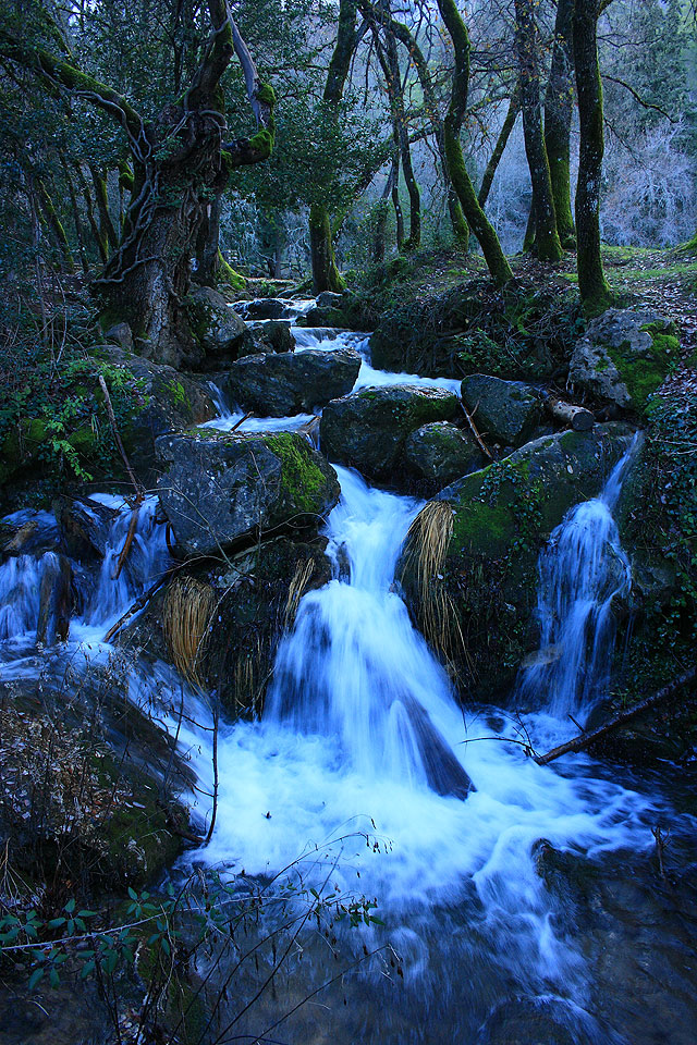 Arroyo en la Sierra de Cazorla.