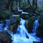 Arroyo en la Sierra de Cazorla.