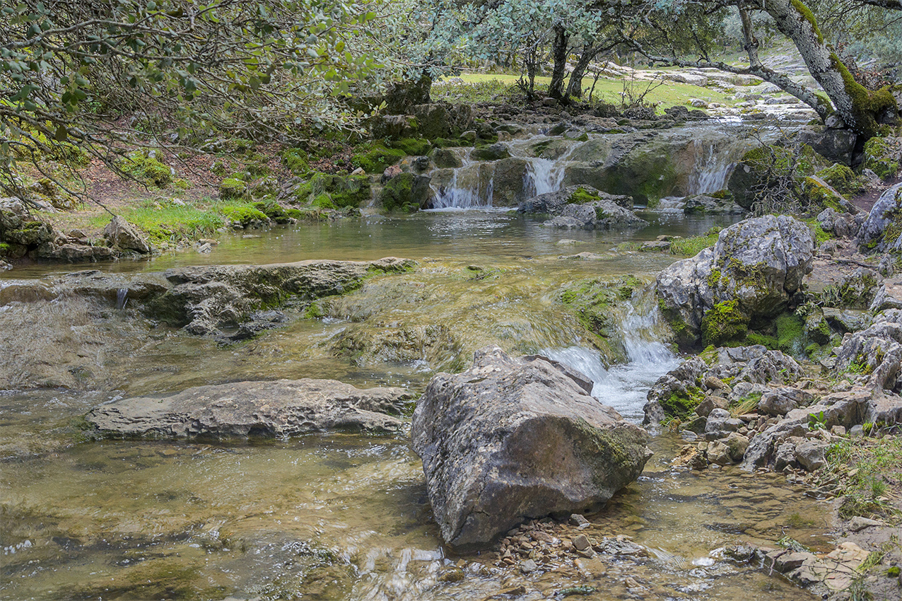 ARROYO FUENSECA