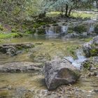 ARROYO FUENSECA