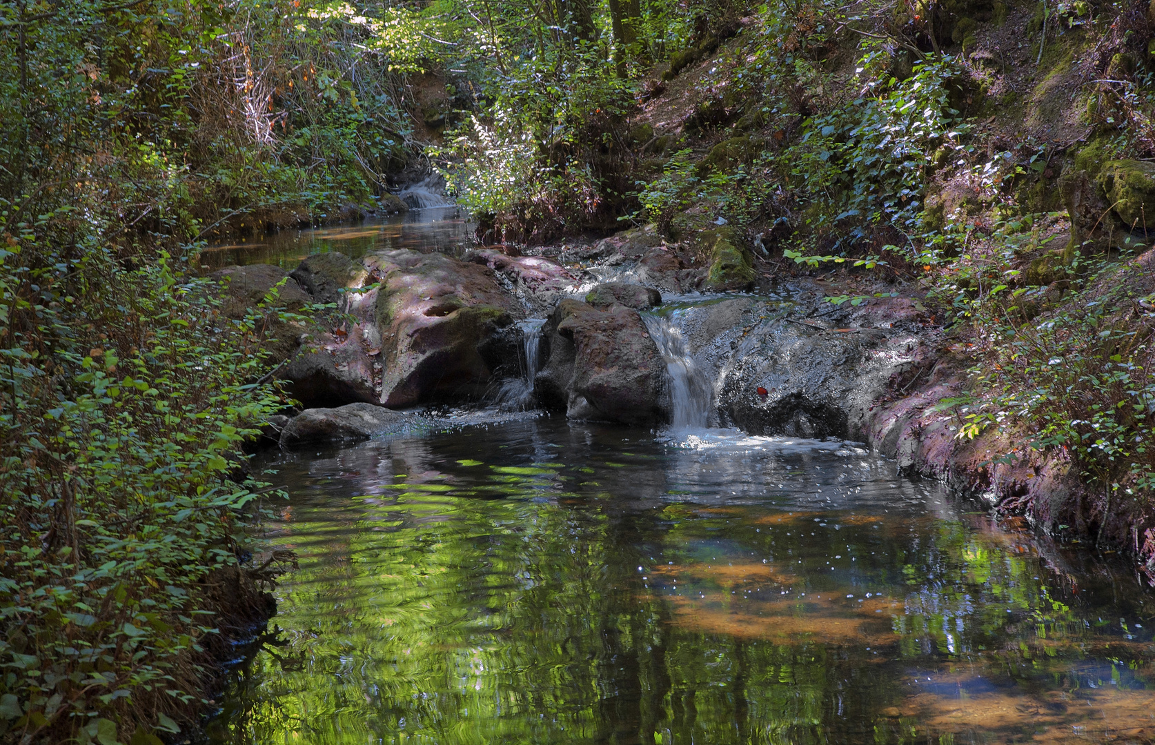 ARROYO MOLINO