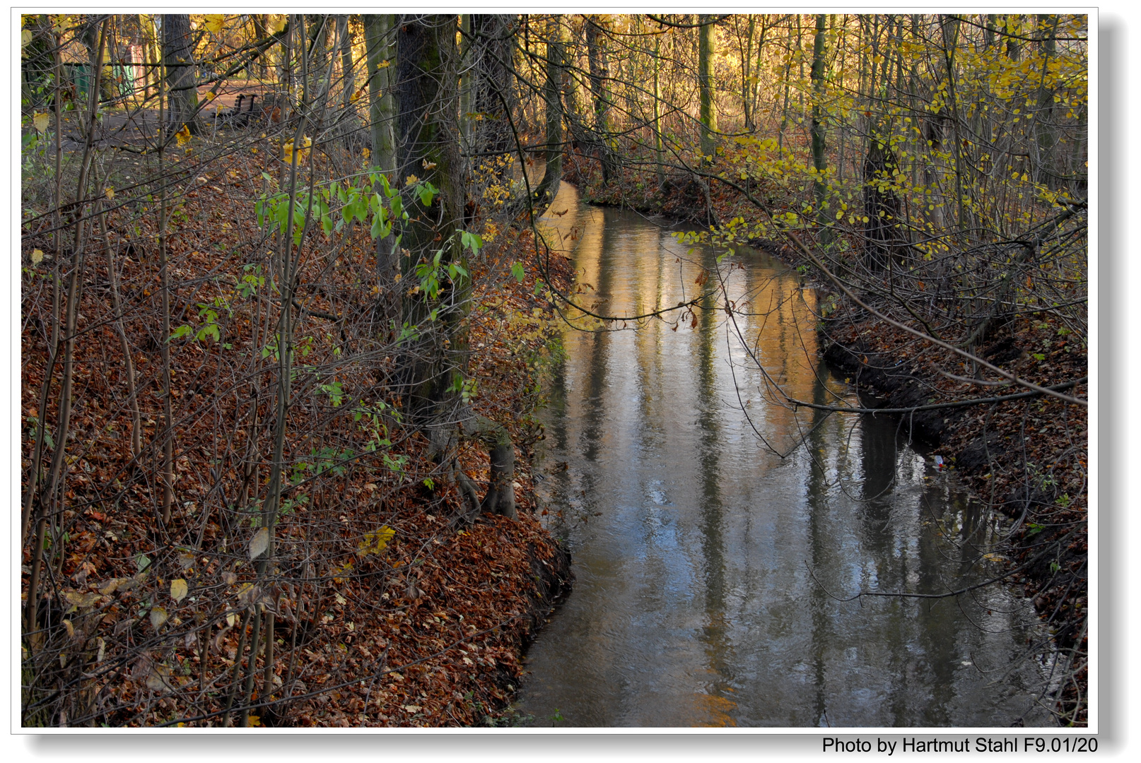 Arroyo pequeño en el parque