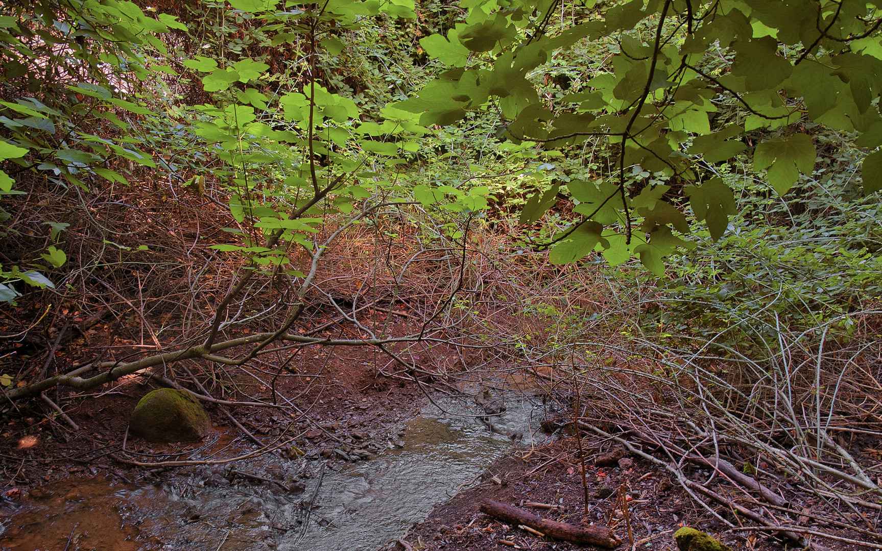 ARROYO VALDELASHUERTAS