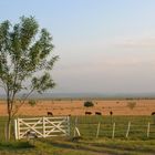 arroyos y esteros- paraguay