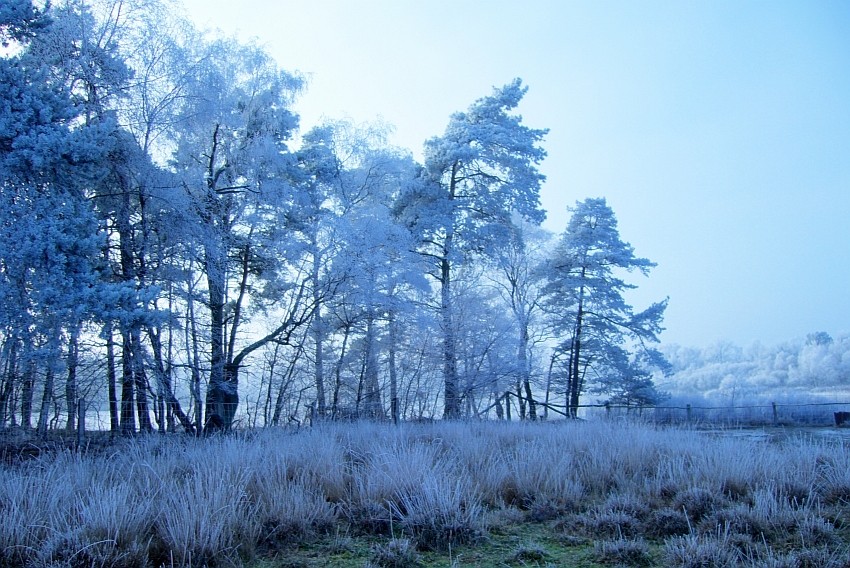 Arschkalte Winterlandschaft