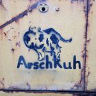 Arschkuh